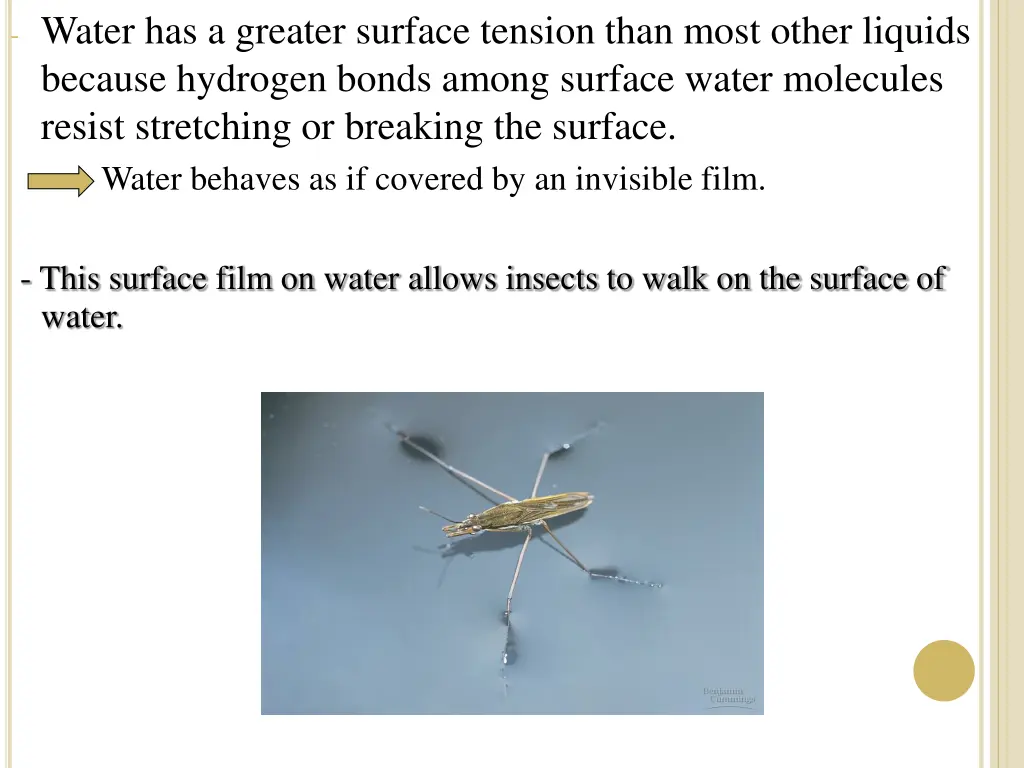water has a greater surface tension than most