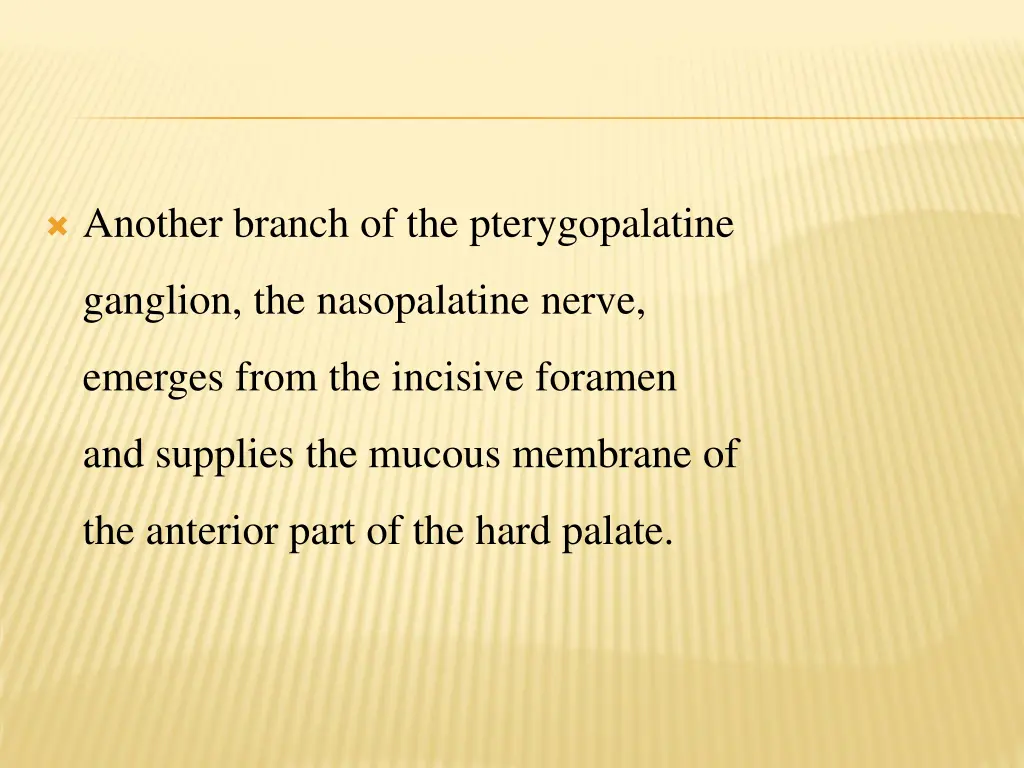 another branch of the pterygopalatine