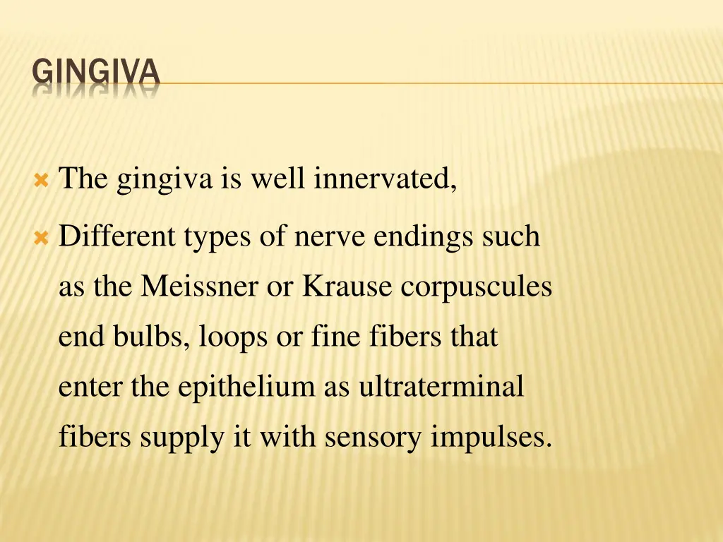 gingiva