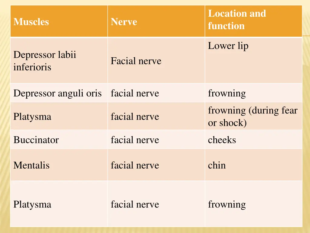 location and function 1