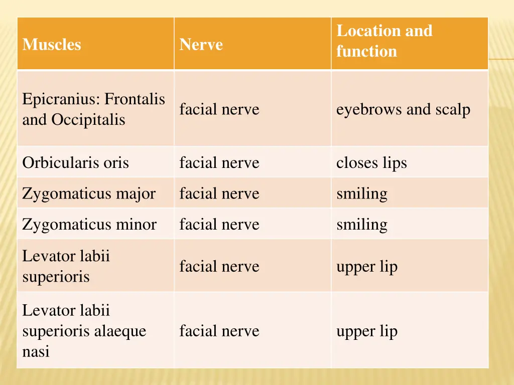 location and function