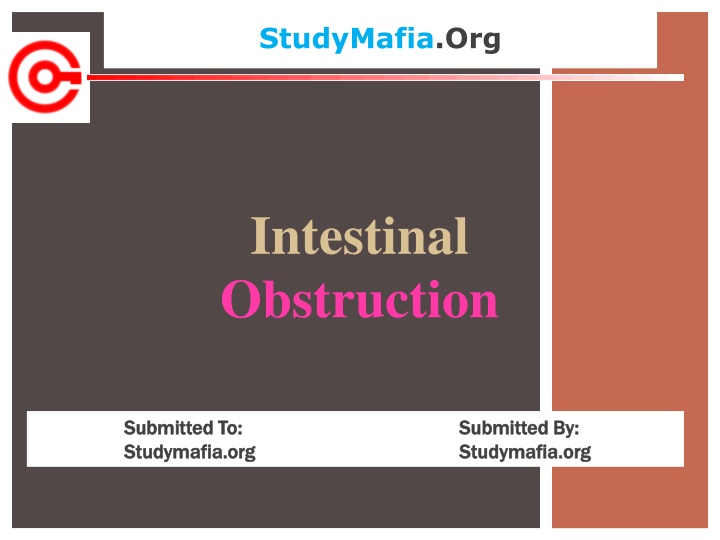 studymafia org