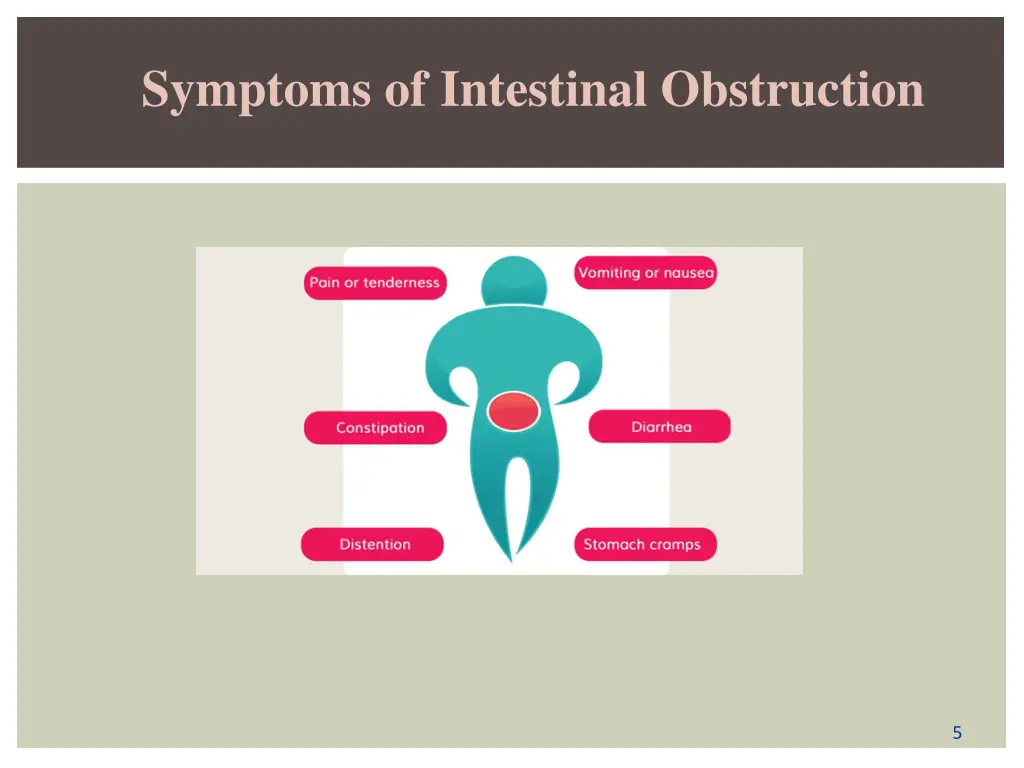 symptoms of intestinal obstruction