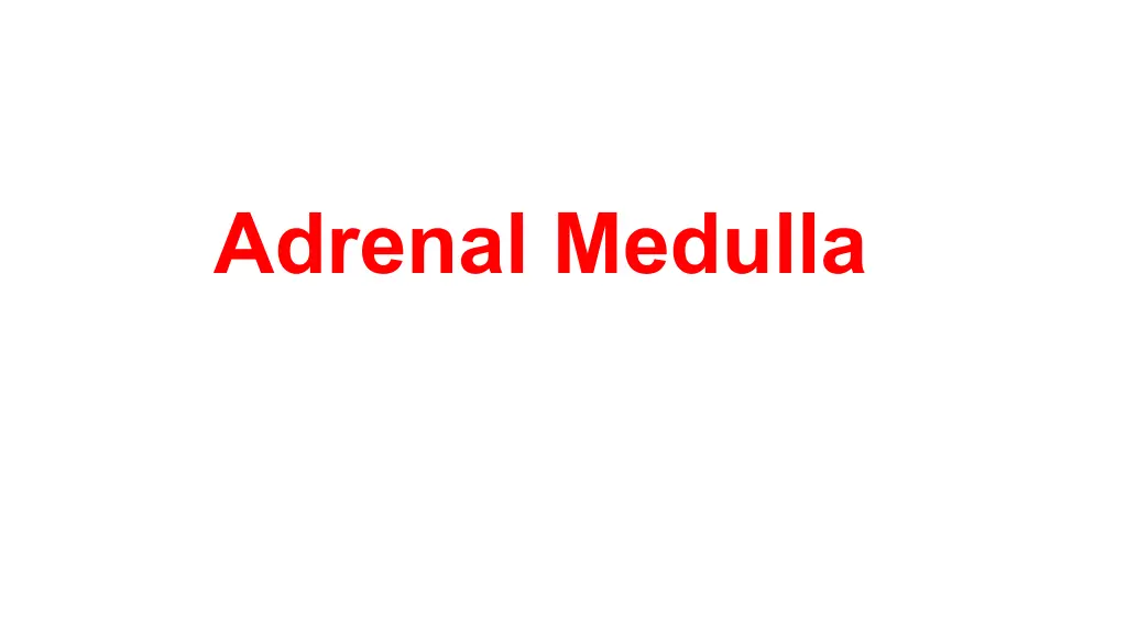 adrenal medulla