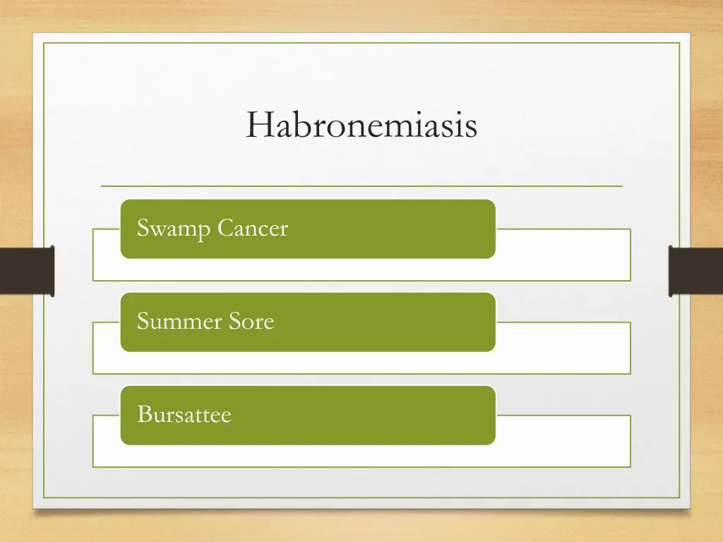 habronemiasis