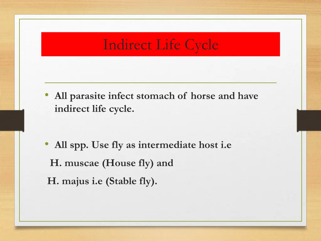 indirect life cycle