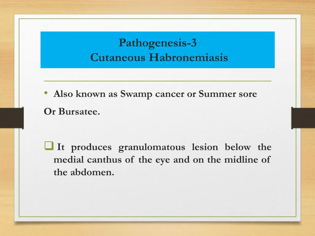 pathogenesis 3 cutaneous habronemiasis