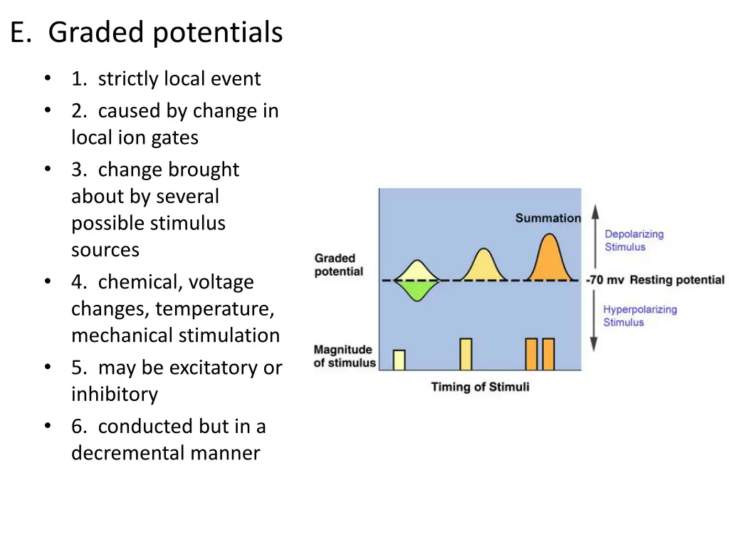 e graded potentials
