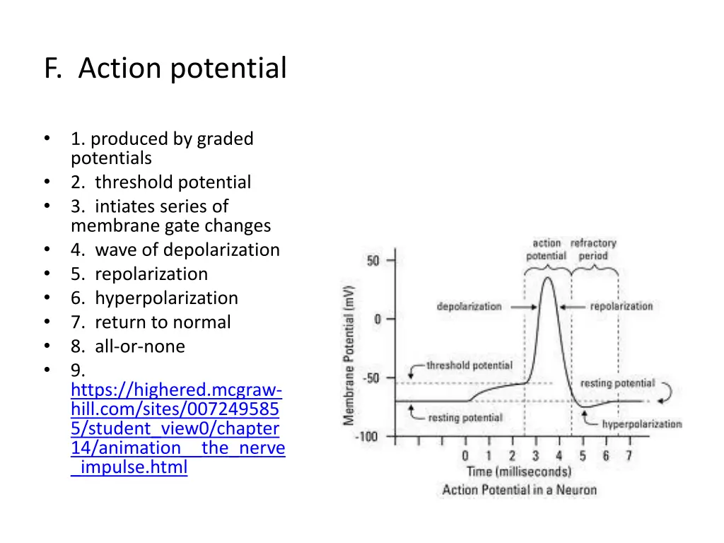 f action potential