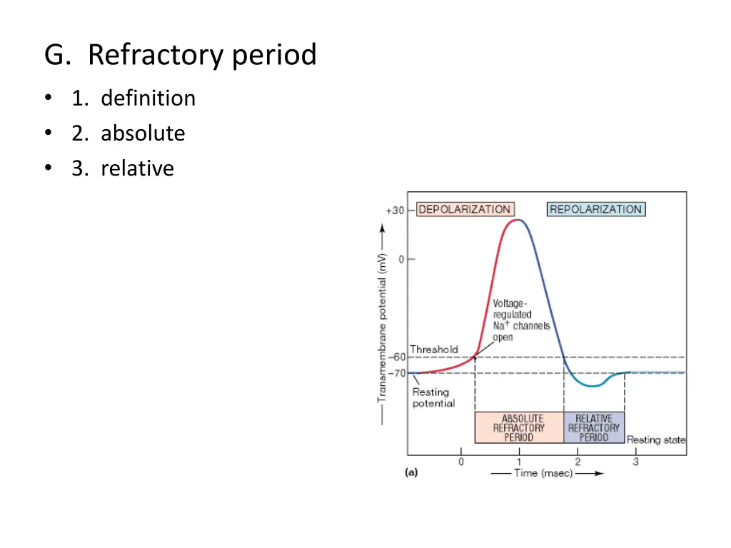 g refractory period 1 definition 2 absolute