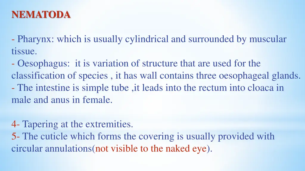 nematoda 1