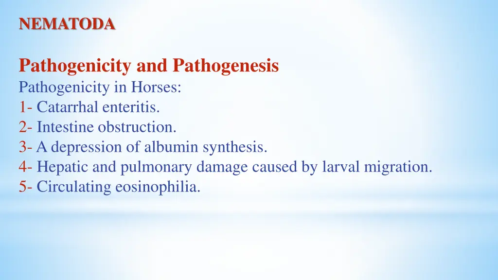 nematoda 12