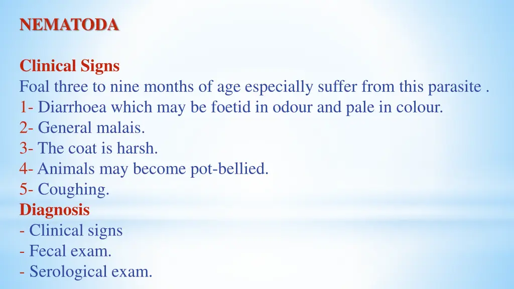 nematoda 13