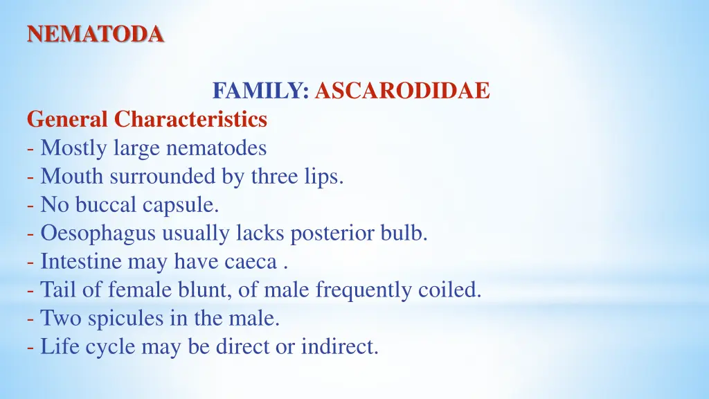 nematoda 3