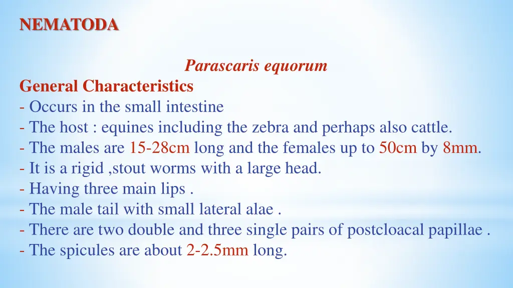 nematoda 4