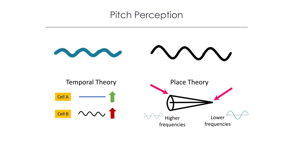 pitch perception 1