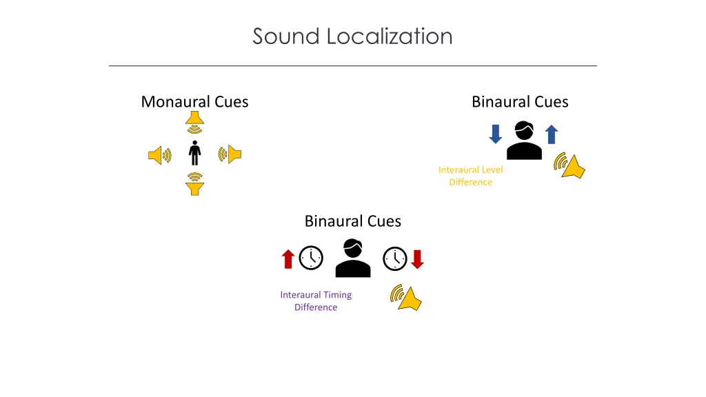 sound localization 1