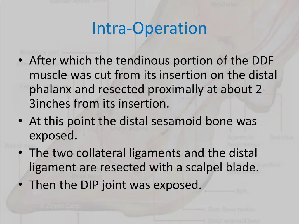 intra operation 1