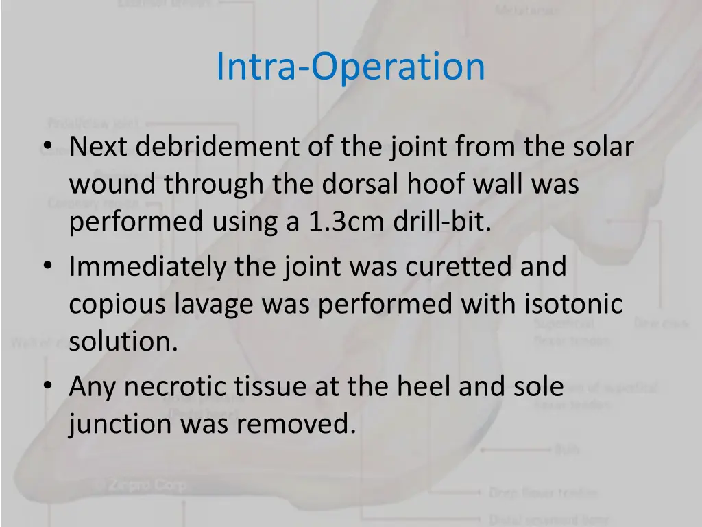 intra operation 2
