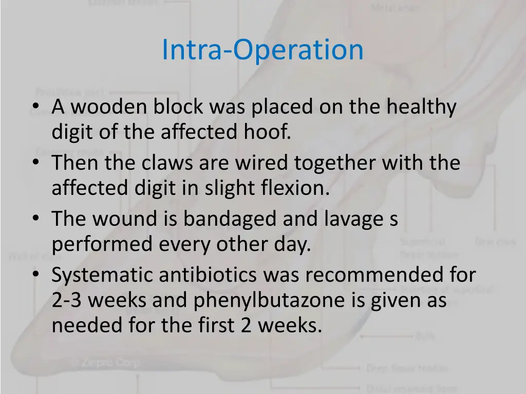 intra operation 3