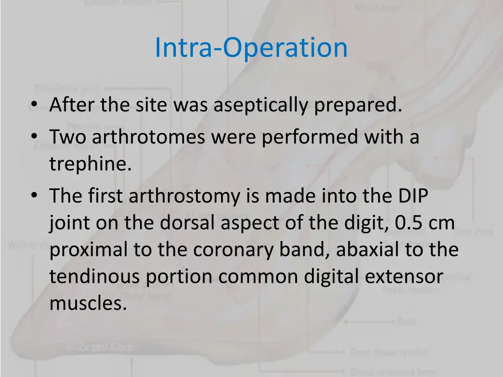 intra operation 4