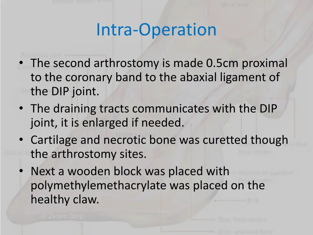 intra operation 5