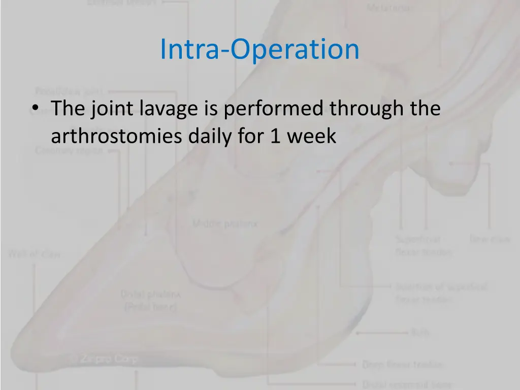 intra operation 6