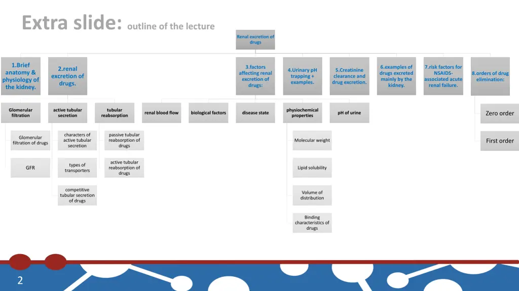 extra slide outline of the lecture