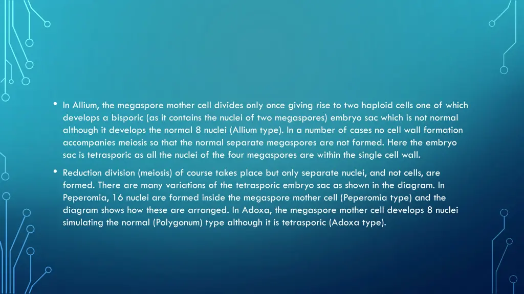 in allium the megaspore mother cell divides only