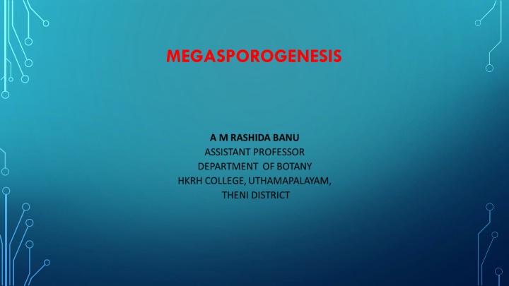 megasporogenesis