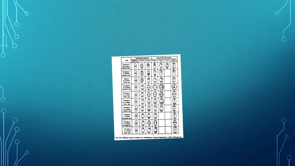 slide11