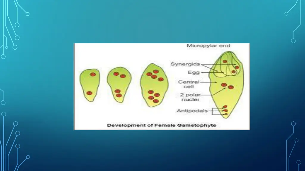 slide12