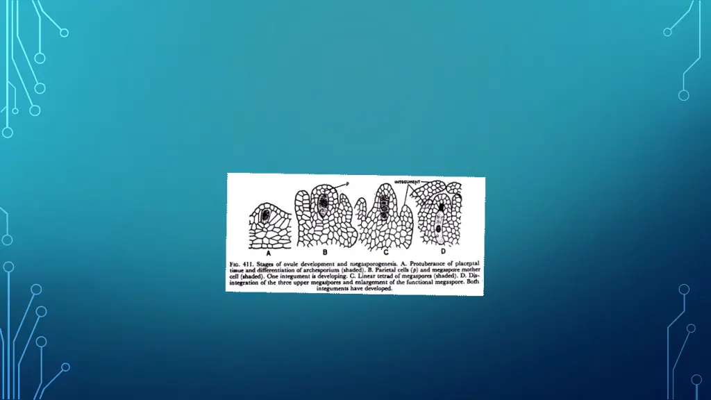 slide4