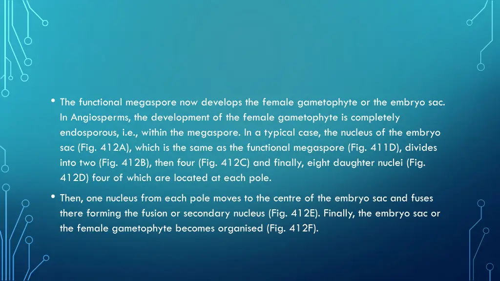 the functional megaspore now develops the female