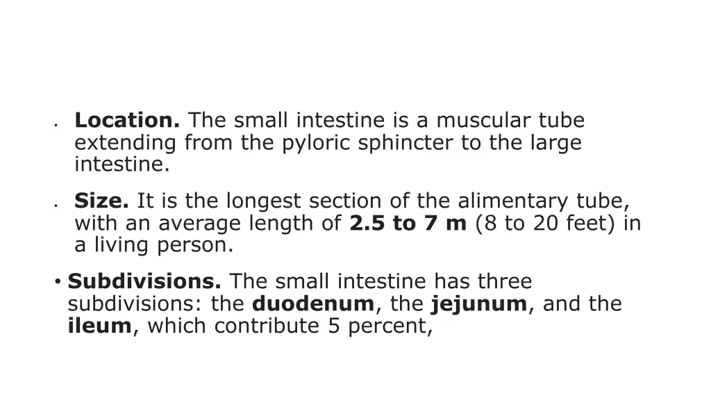 location the small intestine is a muscular tube