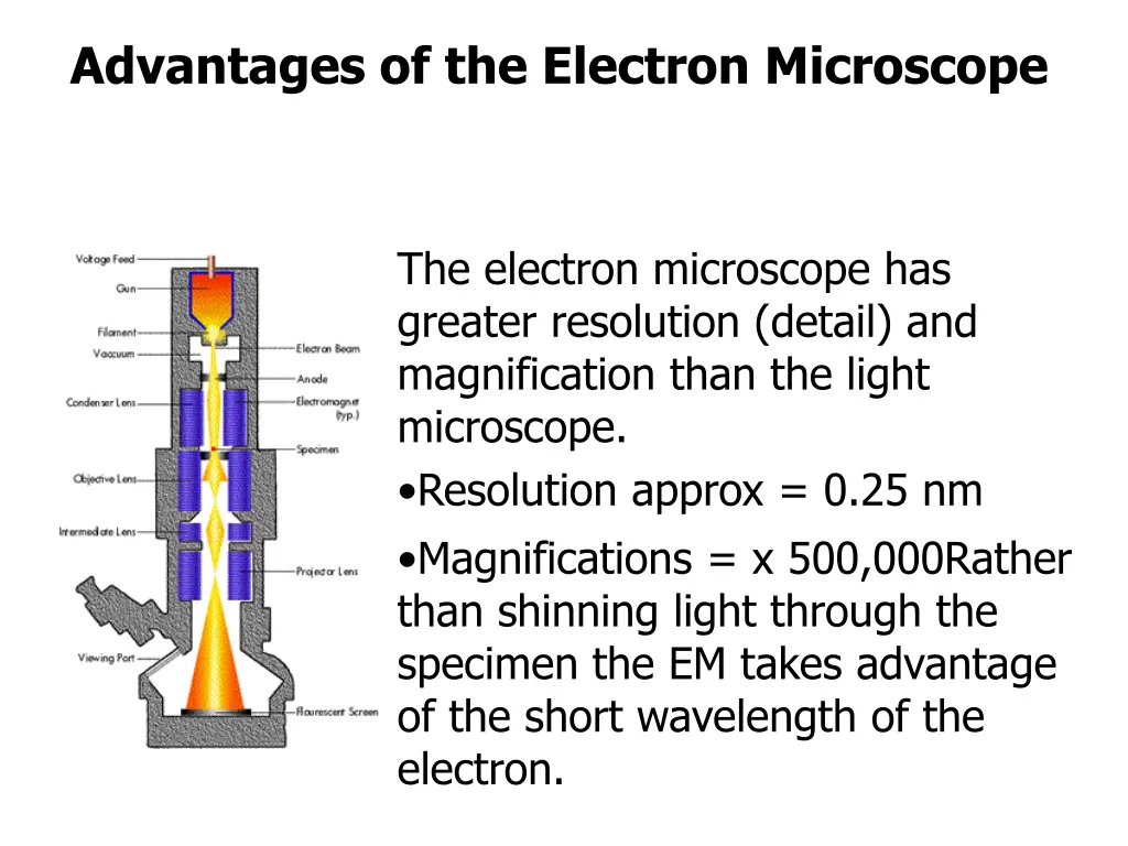 advantages of the electron microscope