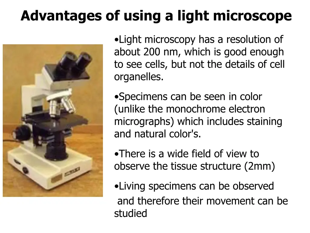 advantages of using a light microscope