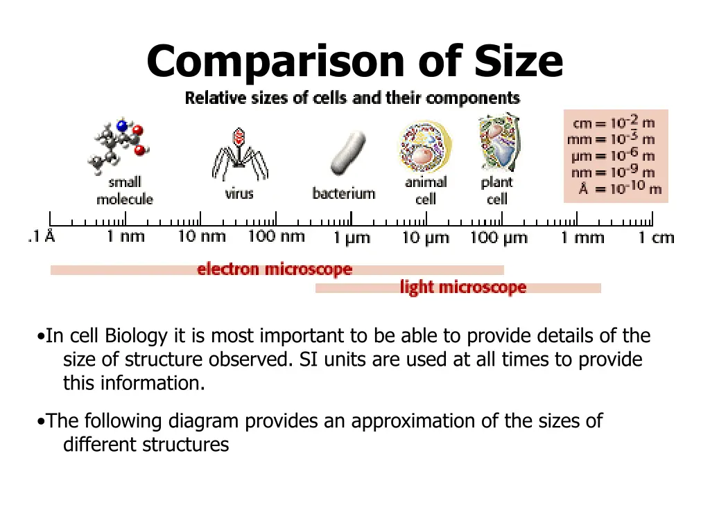 comparison of size