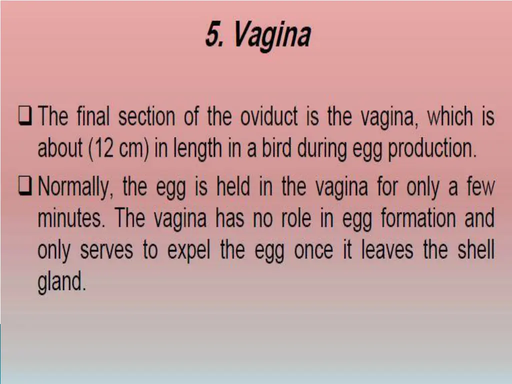 slide11