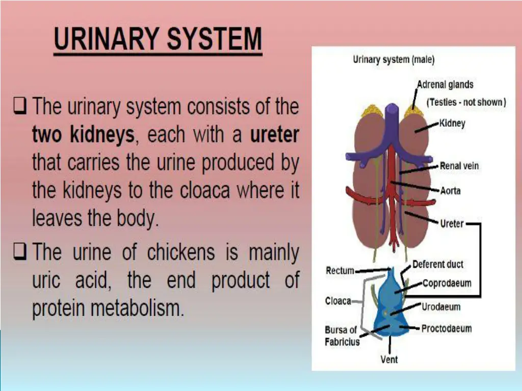 slide2