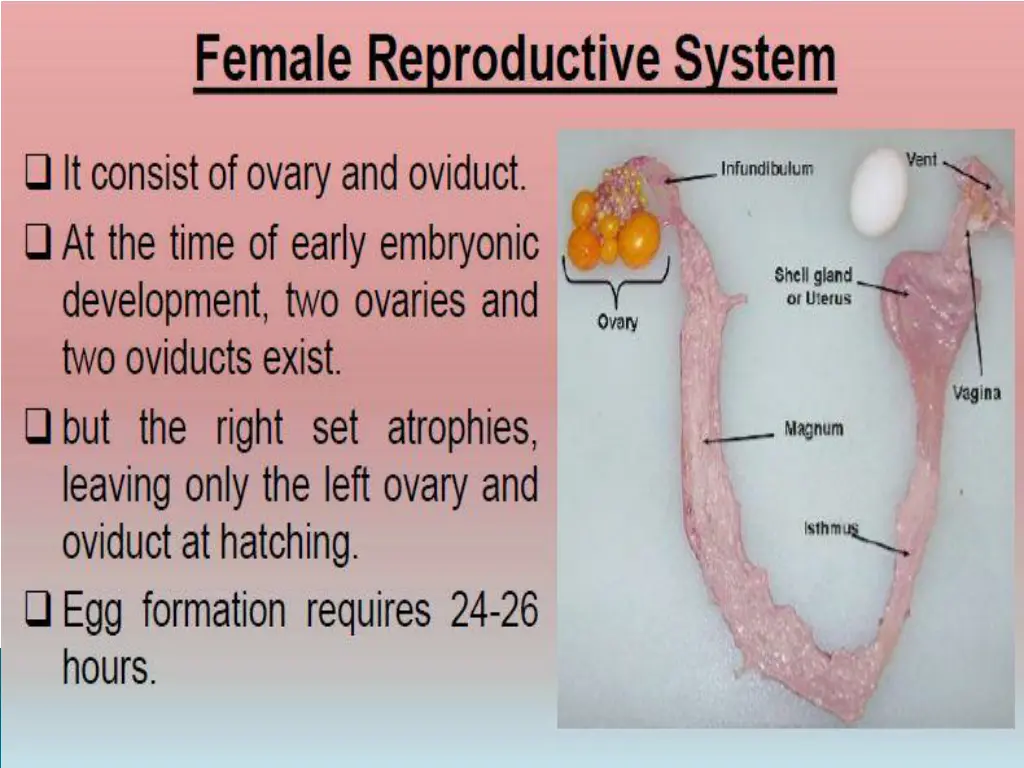 slide3