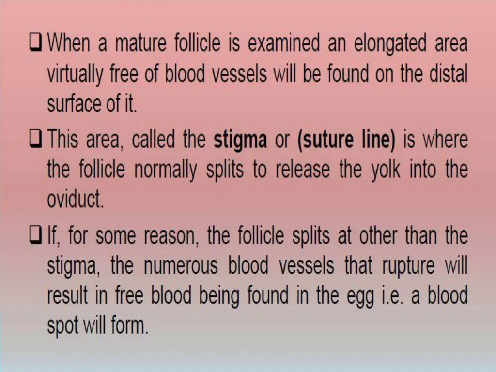 slide5