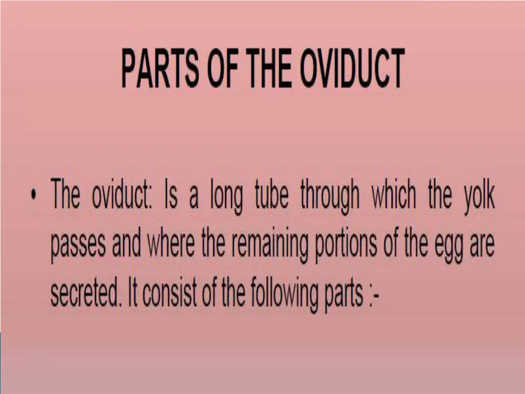 slide6