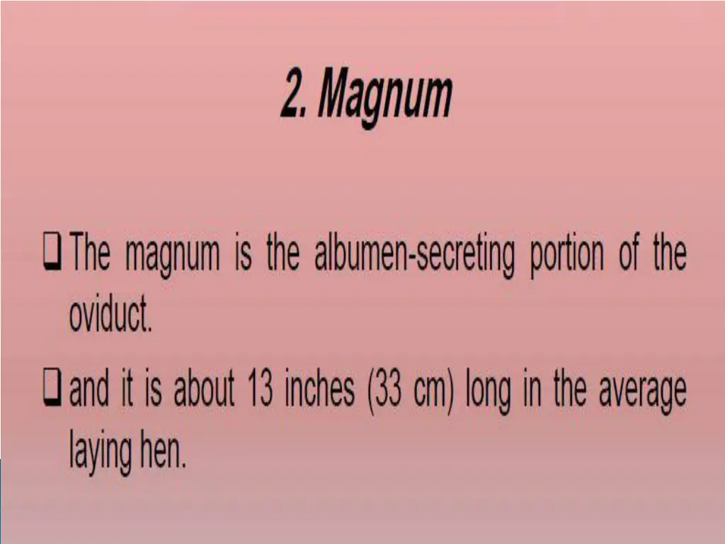 slide8
