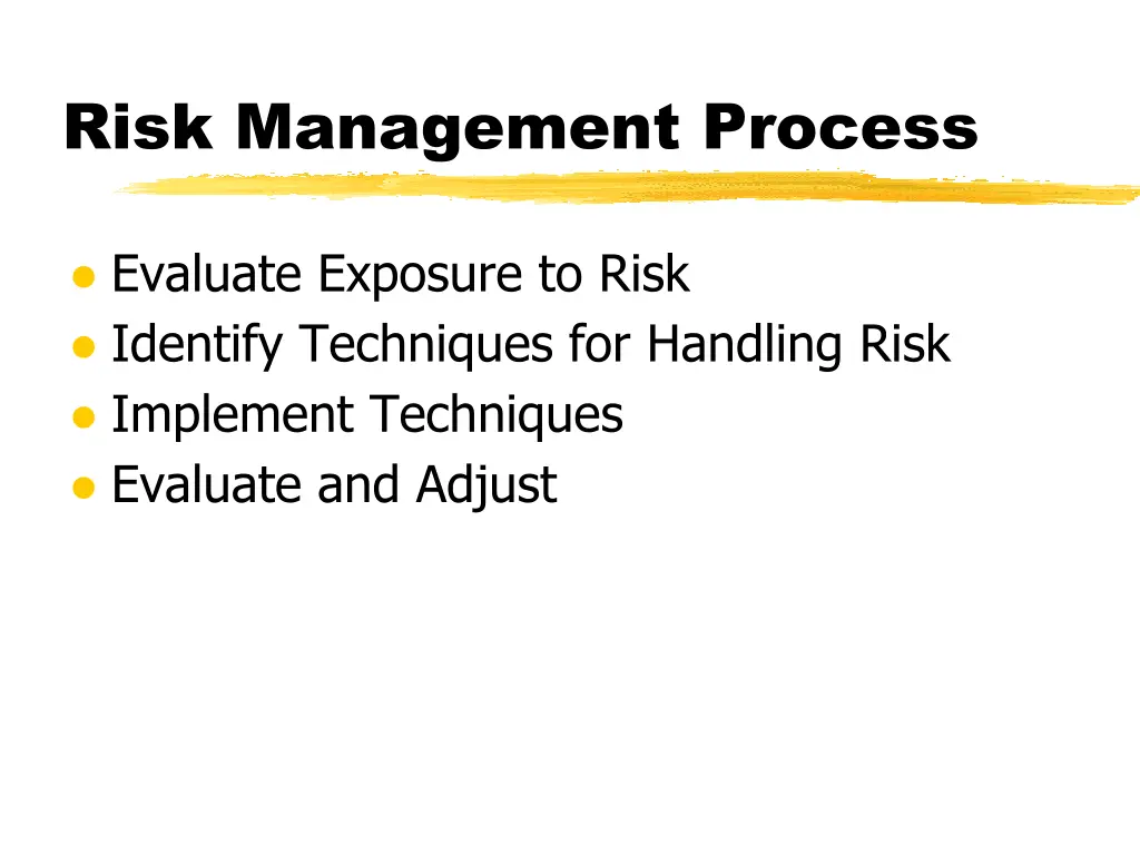 risk management process 1