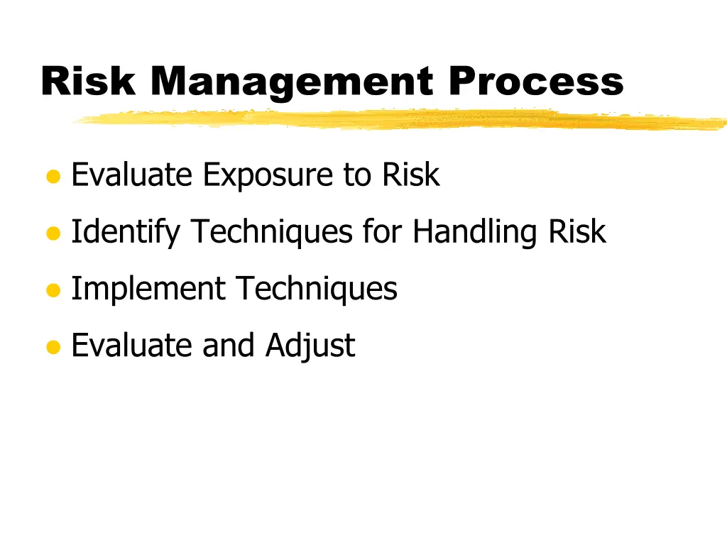 risk management process