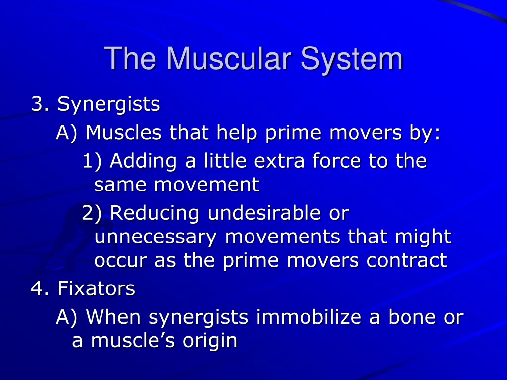 the muscular system 1