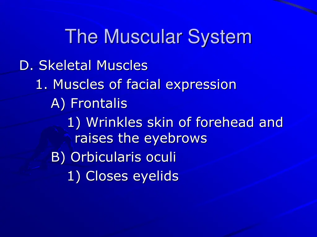 the muscular system 16
