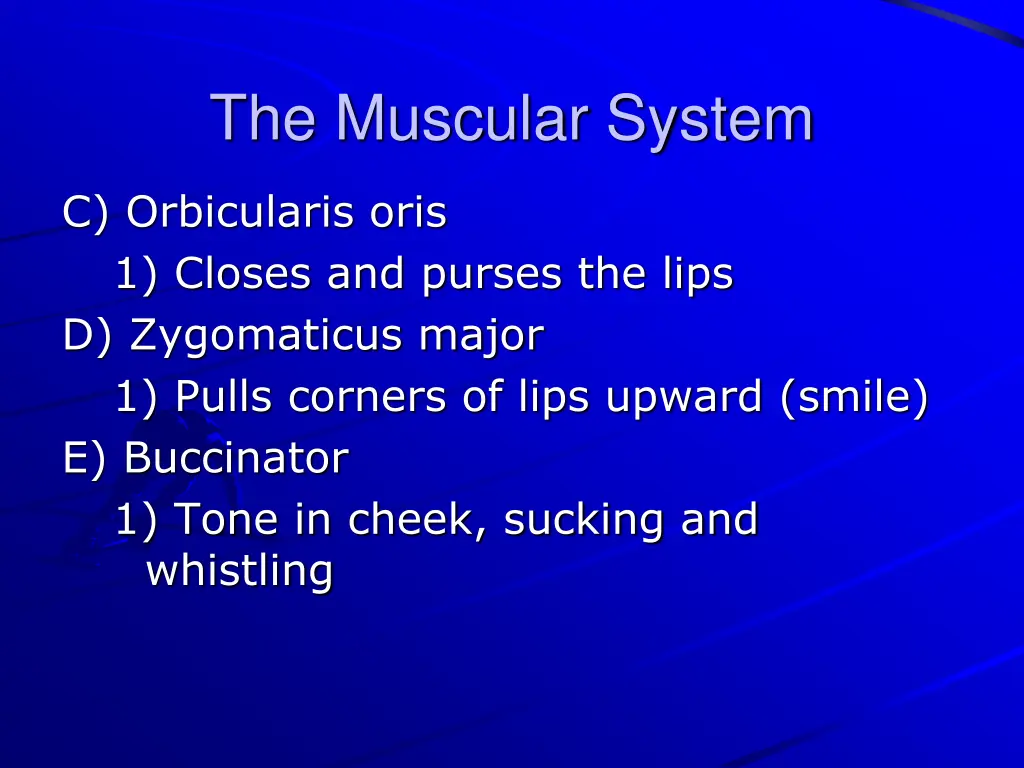 the muscular system 17