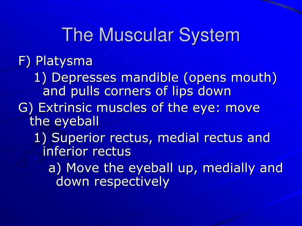 the muscular system 18